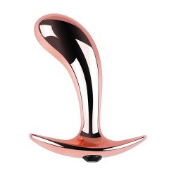 Dilatador Anal Plug Ergo Rose Metal Small
