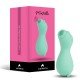 Succionador de Clítoris Suction Vibrator Mintelle