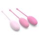 Kit Kegel Balls Petal Wave