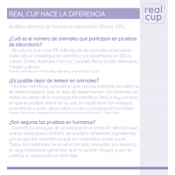 Copa Menstrual Real Cup