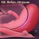 Silla Sexual Con Vibrador Y Control Remoto