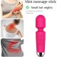 Masajeador Estimulador de Clitoris Magic Ball